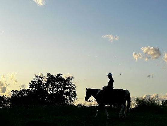 silhouette horse and rider